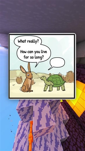 How Can Turtles Live For So Long? 🐢