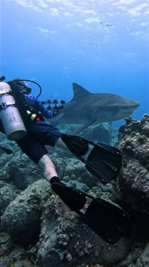 Learn GoPro Mission 1 From the Guys Who Teach It | GoPro Escapes