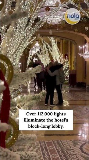 A walk through the Roosevelt's iconic Christmas light display