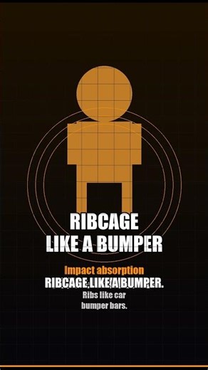 What a human built to survive a car crash would actually look like