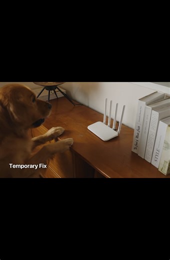 1.8K views | Experience Lightning-Fast, Whole-Home Coverage with the...