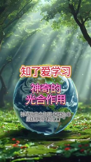 知了爱学习｜神奇的光合作用，地球生命最精妙的“绿色工厂” #每天学习一点点#有趣的知识又增长了#光合作用#知了爱学知识