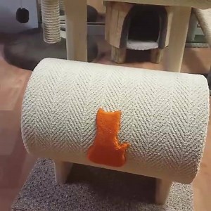 25 reactions · 3 comments | The video speaks for itself.. | CaptainCatnip.com | Facebook