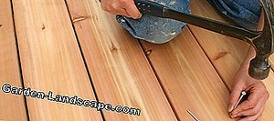 Garden Practice: Decking from Massaranduba - laying, advantages   disadvantages | 2025