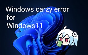 Windows carzy error for Windows11