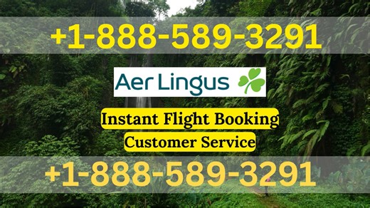 Aer Lingus Airlines® Customer Service Quick Guide Step-by-Step Help & Support 247 Aer Lingus Airlines
