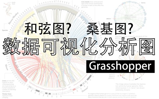 Grasshopper丨如何用GH做数据可视化分析图（和弦图，桑基图）