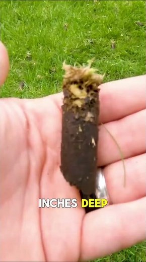 Aeration and Compacted Soil | Sweep-All Aerator