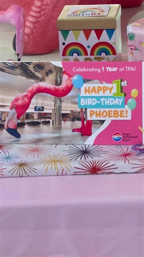 Tampa International Airport celebrated the first birthday of Phoebe, it’s 41-foot-tall flamingo statue in the main terminal. Columbia Restaurant dancers Jennifer Berrojo and Rachael Nelson performed Spanish flamenco in front of Phoebe as live flamingos from Busch Gardens pranced nearby! 🦩Happy birthday, Phoebe! | Columbia Restaurant