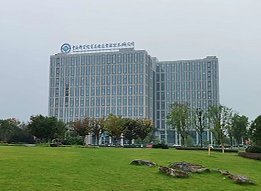 Chongqing Institute of Green and Intelligent Technology, Chinese Academy of Sciences | 中国科学院重庆绿色智能技术研究院
