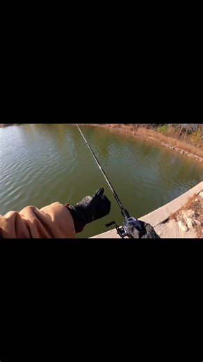 Casting Fail #bassfishing #fishing #bankfishing