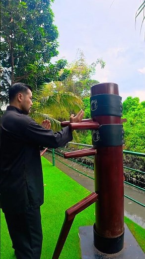Training and and absorbing the moves #masterphan #woodendummy #wingchun #wingtsun #phansifu #kungfu