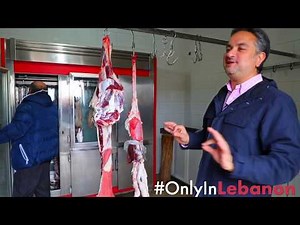 Discover Beautiful Lebanon in 2 Minutes: Best Moments of 2018