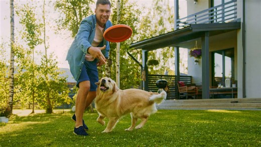 The Mental and Physical Benefits of Playing Fetch With Your Dog