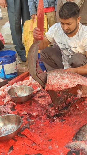 WOW!! Popular Village Katla fish cutting world #shorts