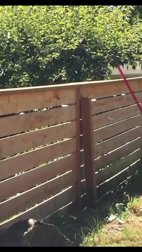 153K views · 3.8K reactions | Custom Double Gate! #diy #alwayslearning #Gates #doubledate #tipsandtricks | BYOT | Facebook