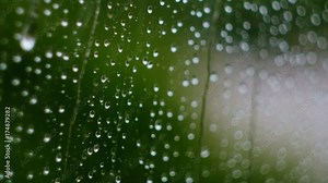 Raindrops running down a window pane