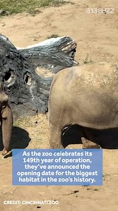 LOOK! Something big is coming to the Cincinnati Zoo! 🐘 As the zoo celebrates its 149th year of operation, they've announced the opening date for the biggest habitat in the zoo's history. More: https://tinyurl.com/2fbsz936 | WLWT