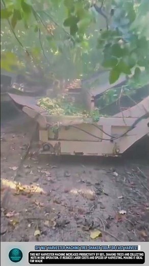 DIY Nut Harvester Machine Tree Shaker Tool for Fast Harvest