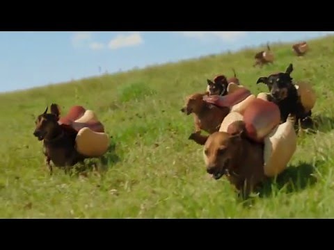 HEINZ Ketchup 2016 Hot Dog Commercial the 'Wiener Stampede'