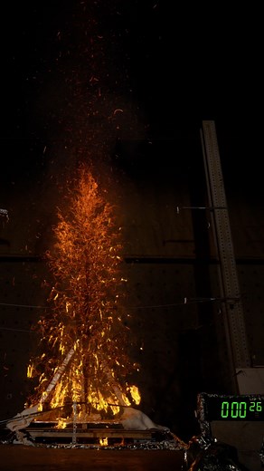 National Institute of Standards and Technology on Instagram: "A wildfire spreading through dry brush can set a tree ablaze in a matter of seconds. Scientists at NIST’s National Fire Research Laboratory ignited this 20-foot Douglas fir to understand how hot it can get. #fire #tree #fireresearch #NIST"