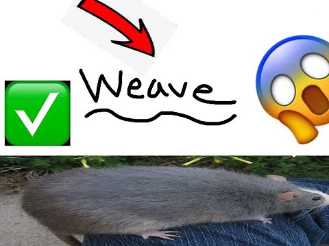 How to get Weave Loader with Lunar Client QT