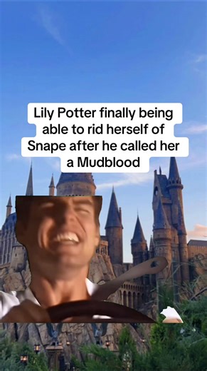 Hello James👋🏻 #lilypotter #snape #marauders #avadakedavra #itsleviosanotleviosa