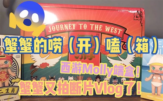 【蟹蟹的开箱Vlog 27】西游Molly端盒！你是我开过最坑人的一盒molly哼