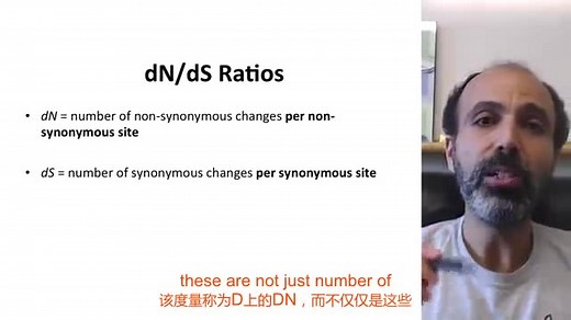 【遗传与进化专题】比较基因组分析之正选择分析（dN/dS或ka/ks计算原理）中英文双语字幕--转自Youtube