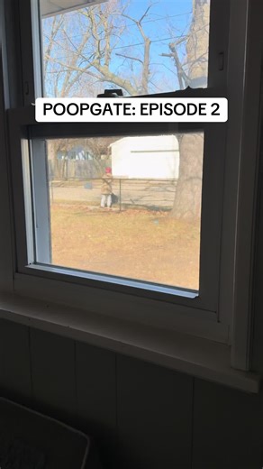 The Poopgate Update: Addressing the Blatant Ignorance