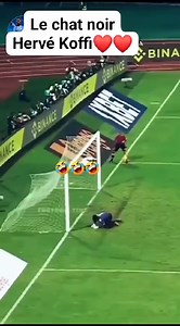 3.4M views · 10K reactions | Le chat noir koffi | Foot plus | Facebook