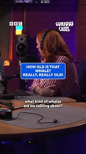 Did you know bowhead whales can reportedly live up to 200 years? Curious Cases | Listen on BBC Sounds #Whales #Animals #Science Curious Cases: Hannah Fry and Dara O Briain tackle listeners' conundrums with the power of science! | BBC One
