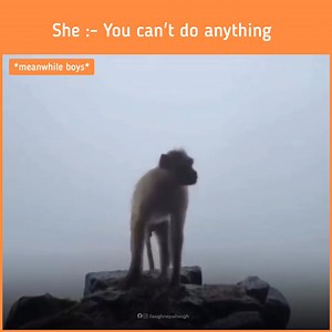 Men will be men 😅 | Laugh NEPAL Laugh