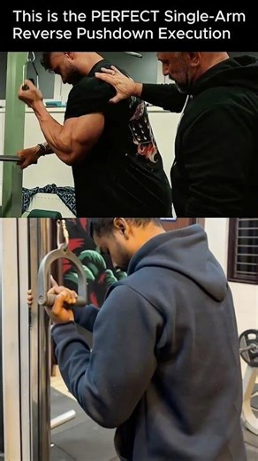 CBUM’s Single-Arm Reverse Pushdown 🔥 The Tricep Form That 99% Lifters Get WRONG #shorts