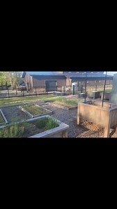 1.9K views | What Tto do in the spring with a garden cover crop! #springgardening #springplanting #covercrops | Old World Garden Farms | Facebook