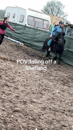 Experience the Thrill of Falling Off a Shetland Pony