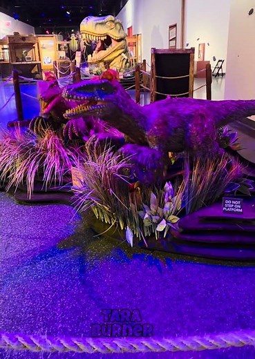 #dinosaur exhibit at daytona museum of arts & science #moas #dinosaurs