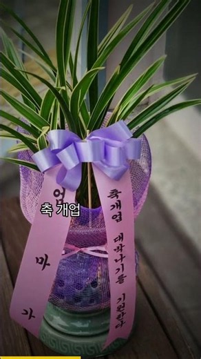 오래 머무는 마음 🌿 개업·승진·감사 관엽·동양란 | 이름꽃.com 전국 당일 꽃배달