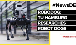 RoboDog: TU Hamburg researches robot dogs