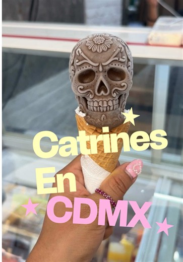Helados y paletas TS'UNU'UN: paletas y helados de catrín en CDMX