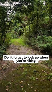 Missouri State Parks on Reels