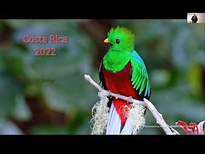 March 2022: Birding Costa Rica's Varied Habitats
