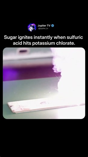 Sugar Bursts Into Flames 🔥