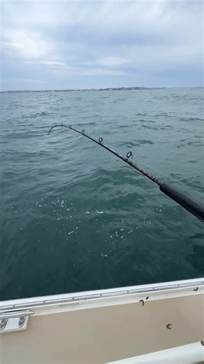 Kelly Smith on Reels