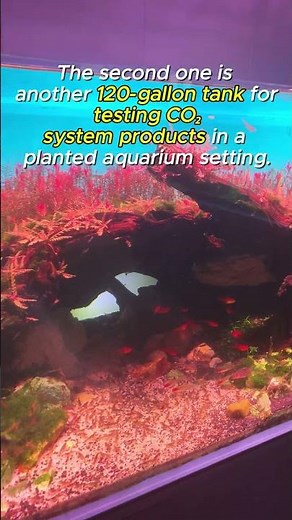 Inside FZONE’s Aquarium World: 5 Tanks, 5 Different Missions!