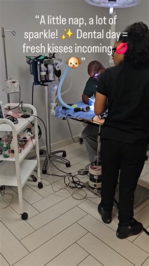 “Did you know? Safe anesthetic dentals help keep your pet’s mouth (and whole body!) healthy 🩺🐾” | Victoria Park Animal Hospital