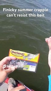 185K views · 1.1K reactions | MUST HAVE crappie bait for the finicky summer bite! It WORKS! #kidkrappie #bnmpoles #facebookviral #facebookreel #may #summer2025 #slabs #crappie #followme #BobbyGarland | KidKrappie | Facebook