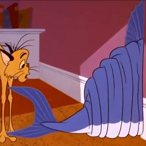 Best Cartoon Netflix 2024 | Cartoon Videos