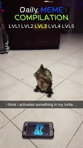 Daily meme compilation 39 #funny #memes #dailymemes #shorts