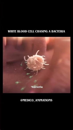 #a#a#viralvideo #drcuterus animation nimation nimation